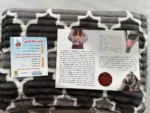 تشک برقی نمکی حرارتی سولدوز طب